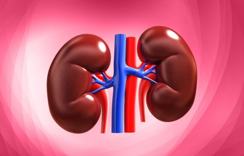 Why there is a sudden rise in kidney failure cases?